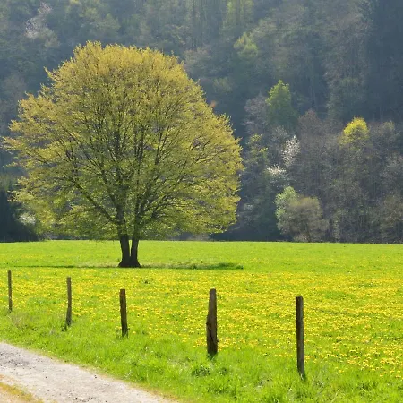 Durbuy, Close To This Holiday In Enneille Vakantiehuis Grande Eneille